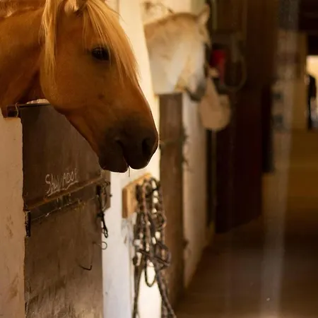 Le Bureau Du Haras Apartamento Bouillargues